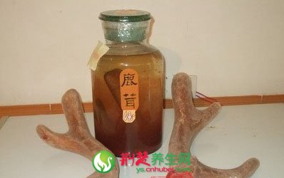 鹿茸酒的作用与功效